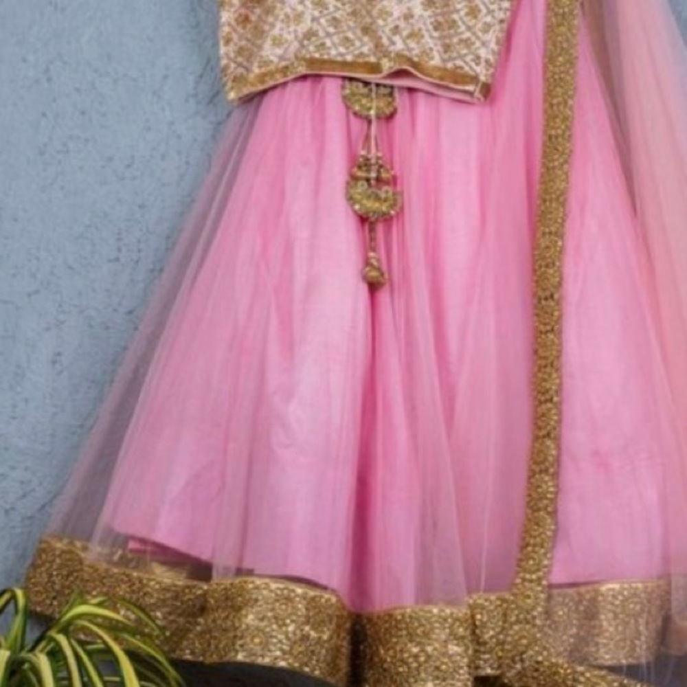 Pink and Gold Lehenga Saree Set!
